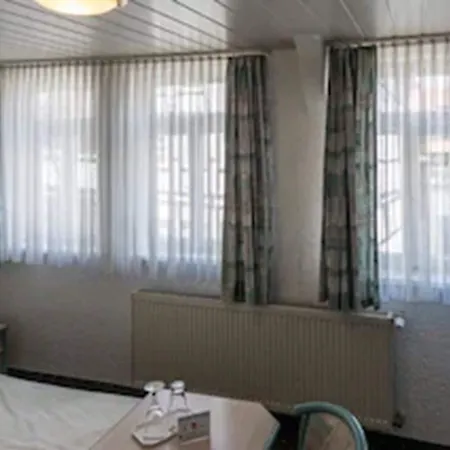 Schneider ホテル Lich