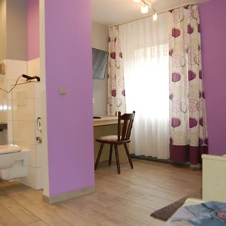 Schneider ホテル Lich